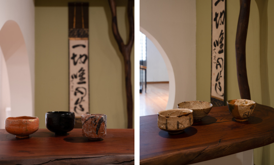 צילום: ג'ני כצנר