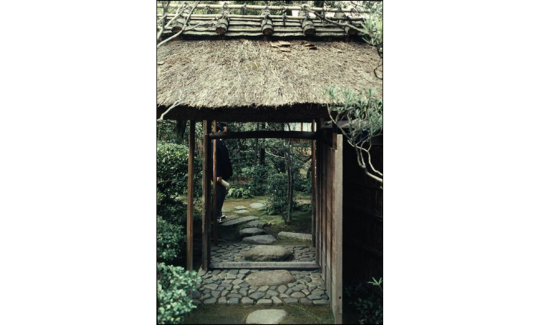 באדיבות אריה קוץ 