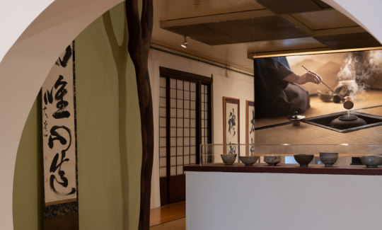 צילום: ג'ני כצנר