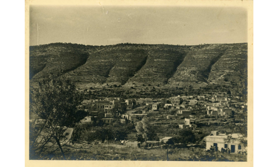 הכפר בלד-א-שייח, שנות ה-40