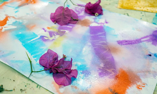 קרדיט: ג'ני כצנר