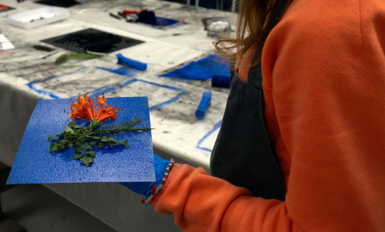 קרדיט: ג'ני כצנר