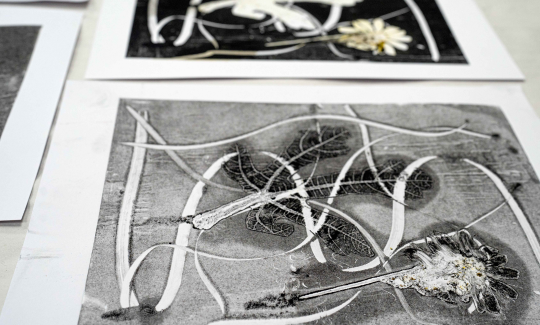 קרדיט: ג'ני כצנר