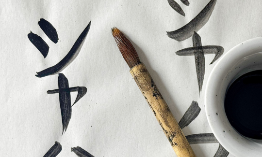 קרדיט: ג'ני כצנר