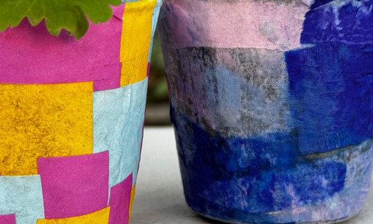 קרדיט: ג'ני כצנר