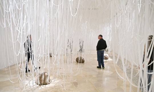 צילום: שרון צור