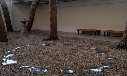 צילום: ג'ני כצנר