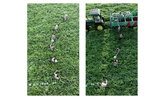 סיגלית לנדאו, ירושלים, גוף