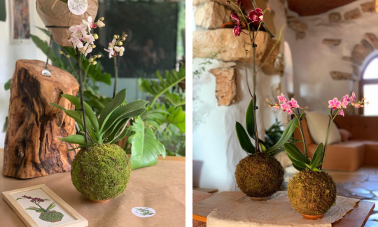 באדיבות האמנית kokedamaslove