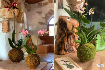 סדנת קוקדמה עם סחלבים