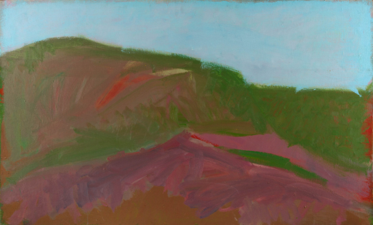 אוֹרי ריזמן, נוף בגליל, 1975