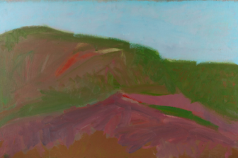 הדרכת אוצר בתערוכה