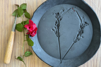 סדנת הכנת כלי אביב פורחים