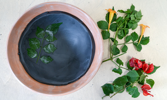 קרדיט: ג'ני כצנר