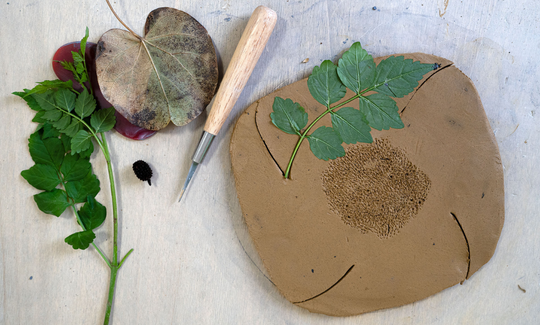 קרדיט: ג'ני כצנר