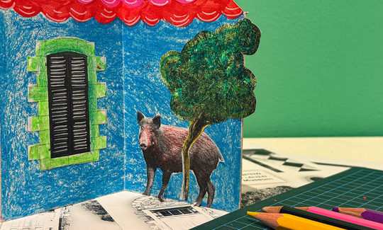 קרדיט: ג'ני כצנר