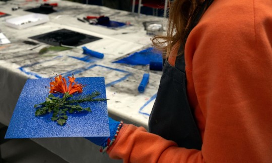 קרדיט: ג'ני כצנר