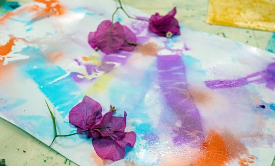 קרדיט: ג'ני כצנר