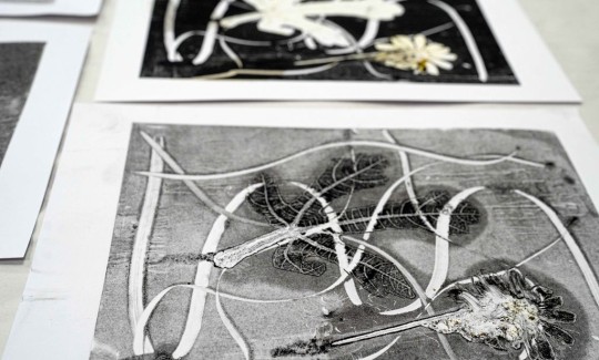 קרדיט: ג'ני כצנר