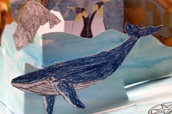 סדנת "פופ-אפ" לווייתן