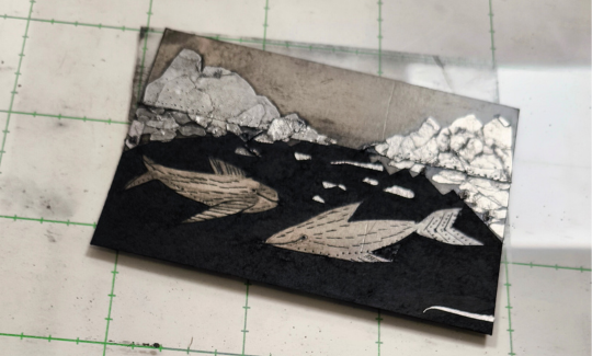 קרדיט: ליאב שופן