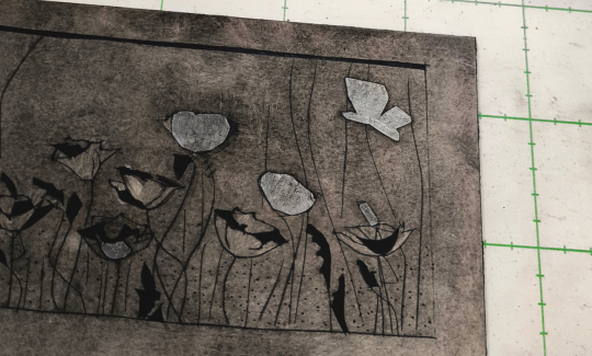 קרדיט: ליאב שופן