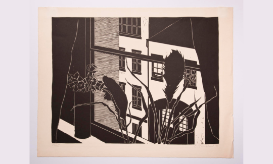 רחוב בארו, קרדיט: פרט גרפיק