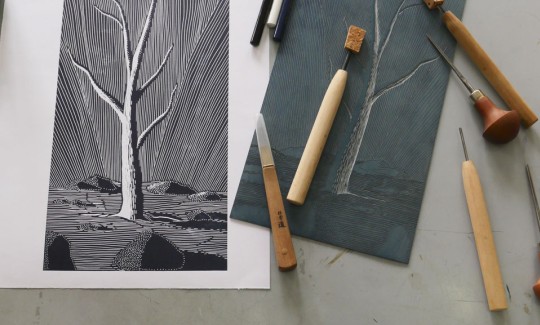 קרדיט: ליאב שופן