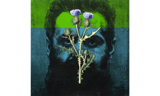 גיל גורן, הרצל ודרדר סגול