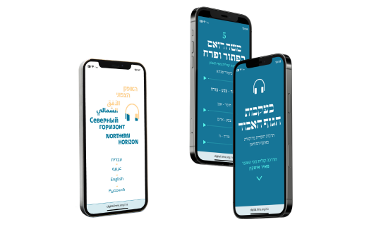 הדרכה קולית בתערוכות