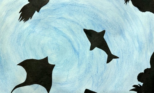 קרדיט: ג'ני כצנר