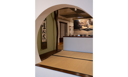 צילום: ג'ני כצנר