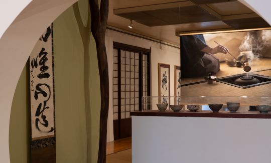 צילום: ג'ני כצנר