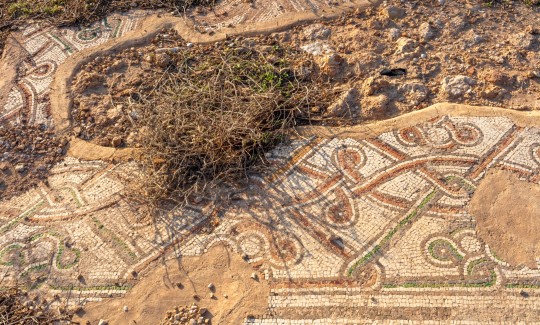 Orit Siman-Tov, Sycaminum Mosaic floor, 2015