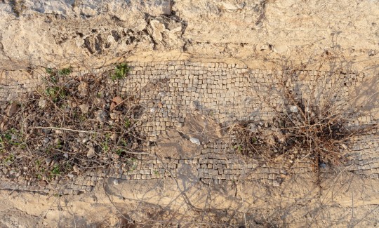 Orit Siman-Tov, Sycaminum Mosaic floor, 2015