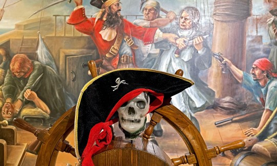 צילום: ג'ני כצנר