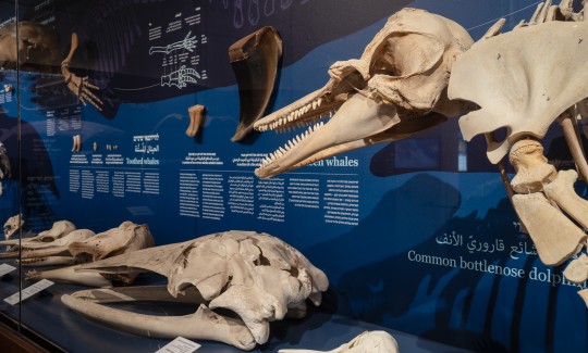 Фото: Евгения Кацнер