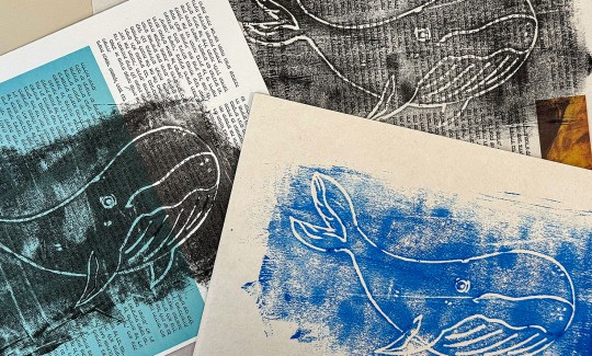 קרדיט: ג'ני כצנר