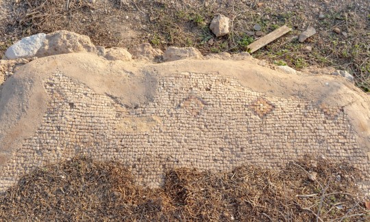 אורית סימן־טוב, פסיפס