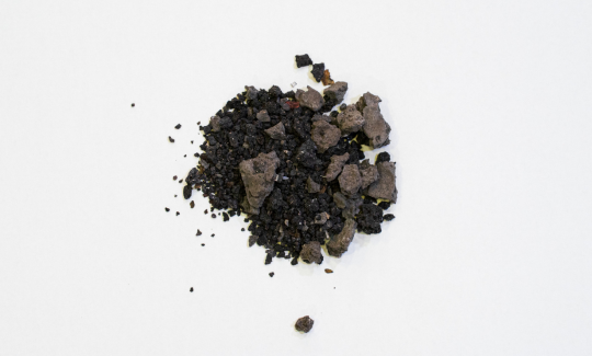 A pigment derived from dried glands of banded dye