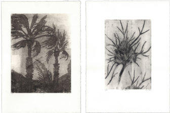 סדנת מוקוליטו בשלושה מפגשים