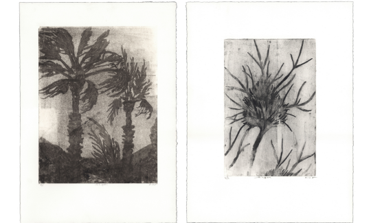 קרדיט: ליאב שופן