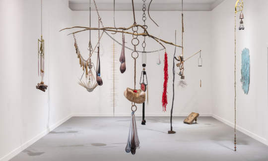 צילום: אלי פוזנר