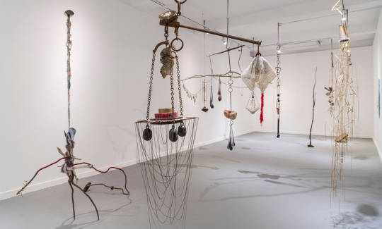 צילום: אלי פוזנר