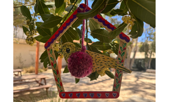 קרדיט: ג'ני כצנר