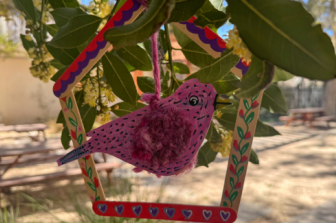 סדנה ״בית לציפור״