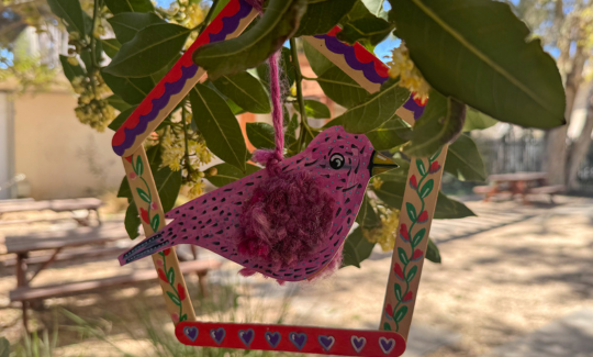 קרדיט: ג'ני כצנר