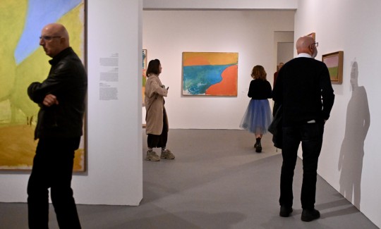 מוזיאון חיפה לאמנות, קרדיט: