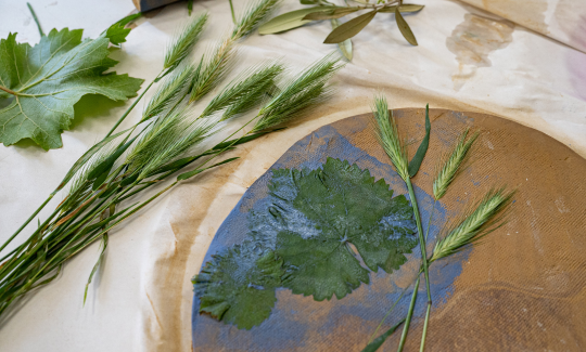 קרדיט: ג'ני כצנר