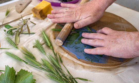 קרדיט: ג'ני כצנר
